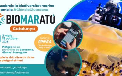 The fifth edition of the BioMARathon kicks off to explore marine life along Catalonia’s beaches