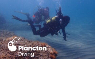Immersió des de platja a l’Ametlla de Mar