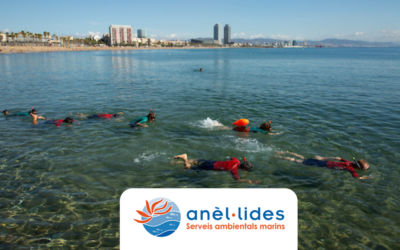 Esnòrquel nocturn amb Anèl·lides