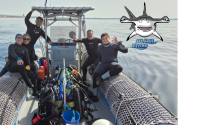 Busseig des d’embarcació amb All Blue Diving