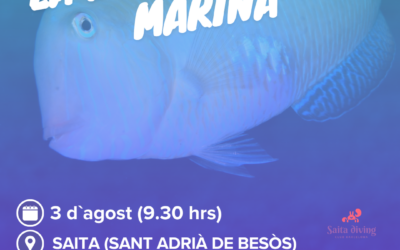 Cens de biodiversitat marina amb FECDAS