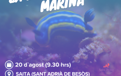 Cens de biodiversitat marina