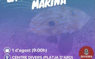 Cens de biodiversitat marina amb FECDAS