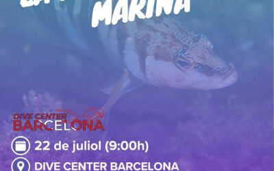 Cens de biodiversitat marina amb FECDAS