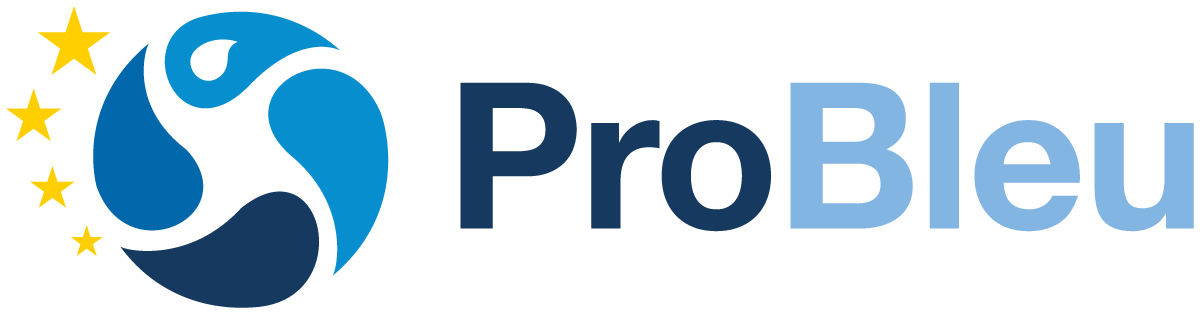 PROBLEU_LOGO_PRIMARY LOGO COLOR 01