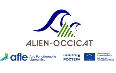 Suivi des espèces non indigènes marines sur les côtes d’Occitanie et de Catalogne