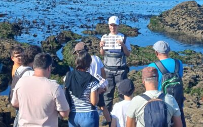 Guided tour to the intertidal – Praia Norte