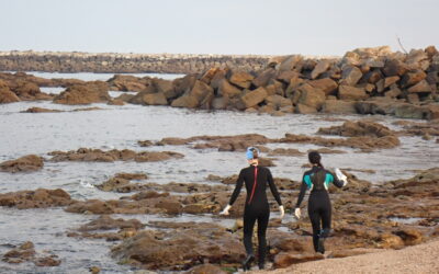 Science at Low Tide: Species observation and Environmental DNA