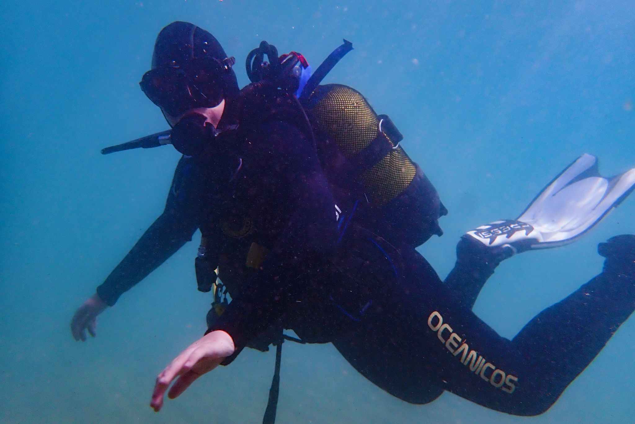 Submarinisme. Font: Associació Oceánicos